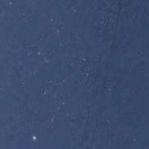 Meet your Posher, Adelaide